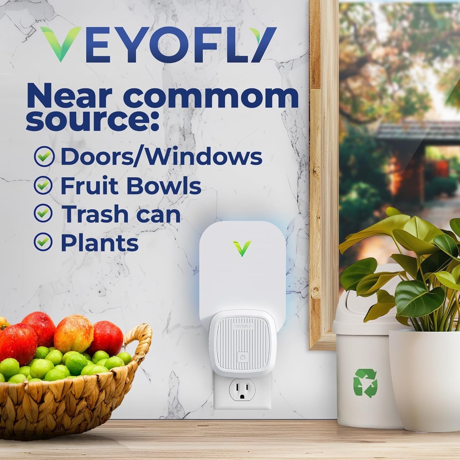 Fly Trap Indoor Fruit Fly Traps Indoors Flying Insect 2 Device 4 Refills Gnat