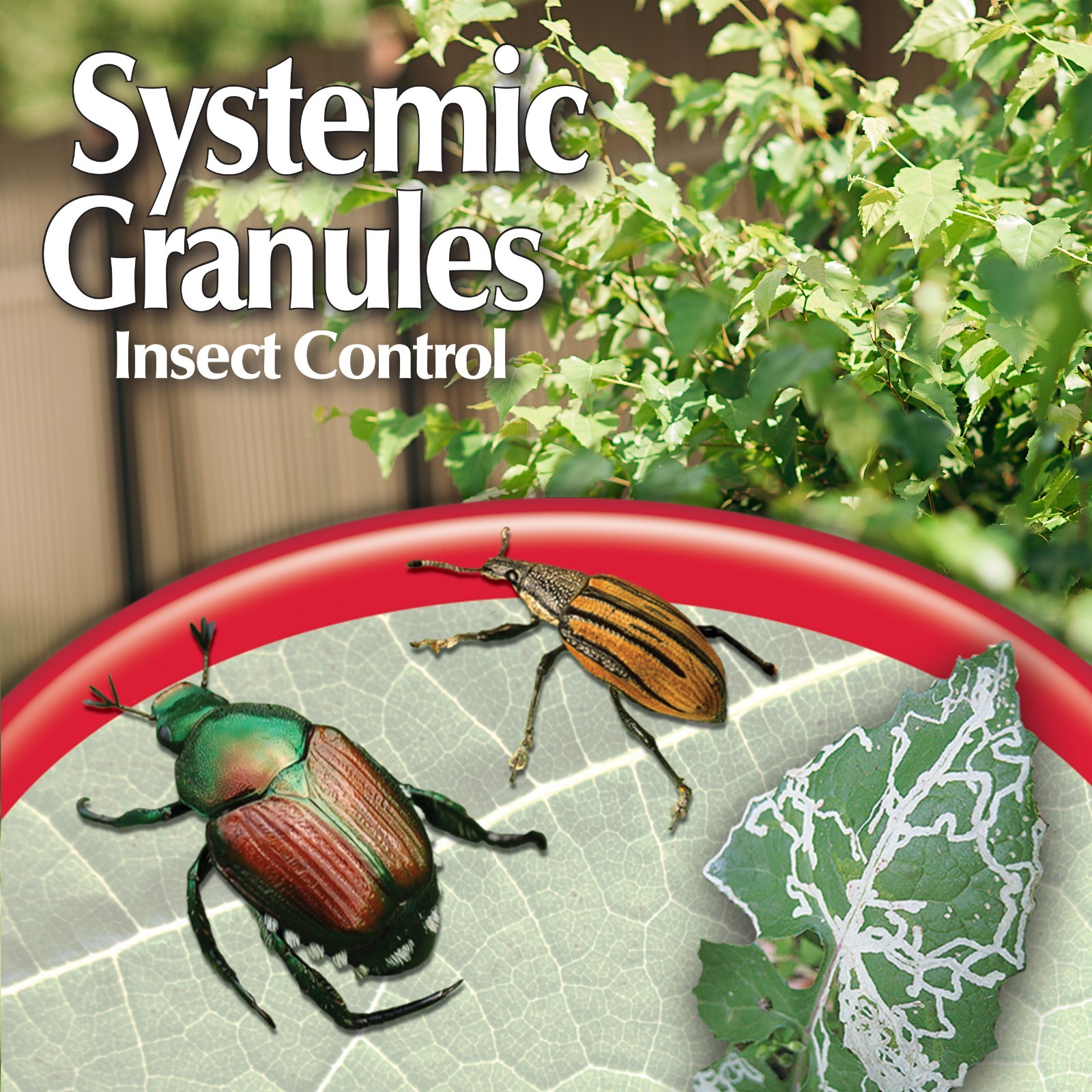 Bonide Insect Control Systemic Granules Ready-to-Use Water Resistant 1 lb