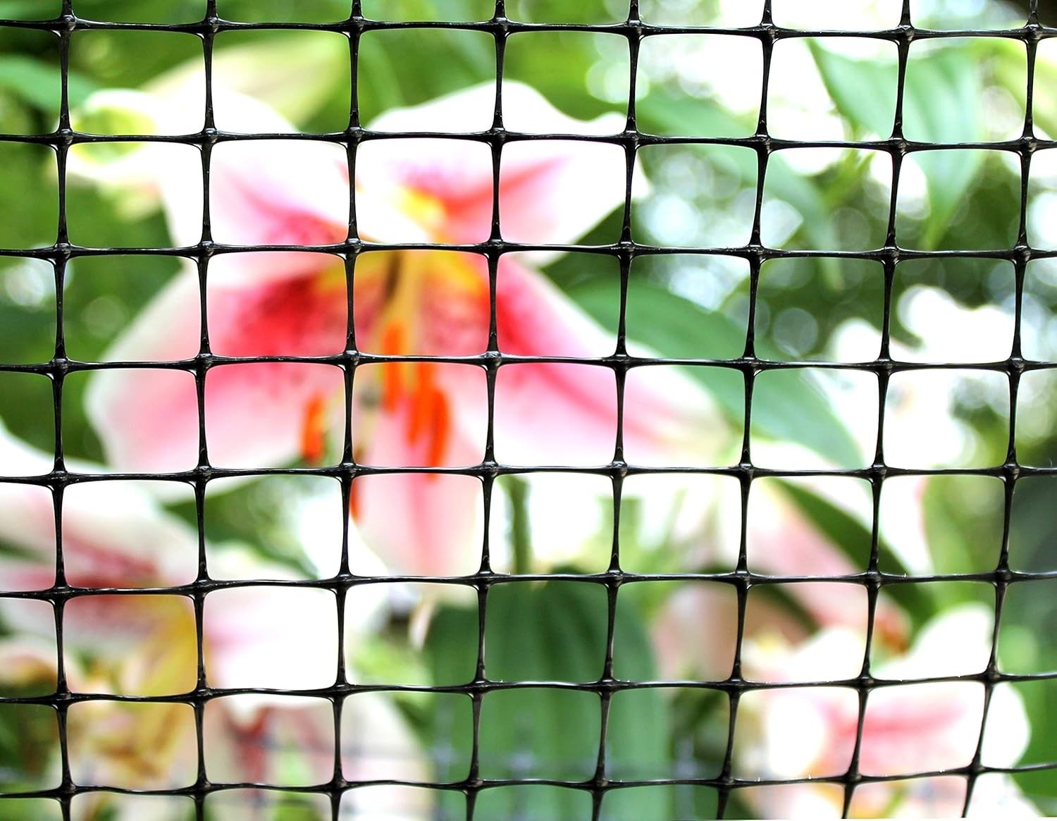 Versatile 3′ x 50′ Black Polypropylene Garden Net – Secure Your Garden Gorgeous