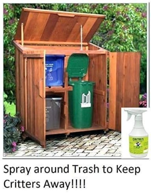 Cinnamon & Peppermint Lizard Spray – 32 Oz, Perfect for Indoor and Outdoor Areas