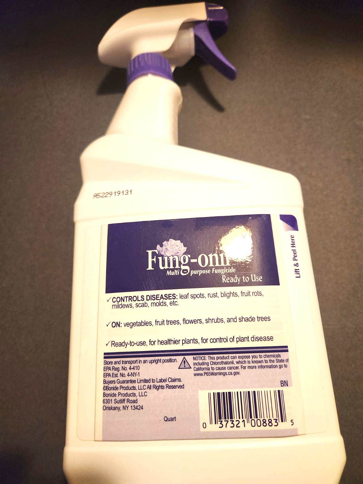 Bonide Fung-onil Fungonil 8836 32 oz Ready to Use Multi Purpose Garden Fungicide