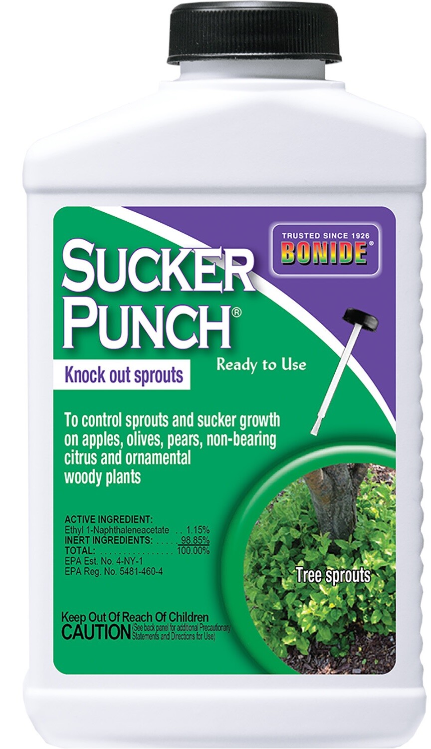Bonide 276 8 Oz Sucker Punch Brush On Sucker & Sprout Control , Growth Regulator