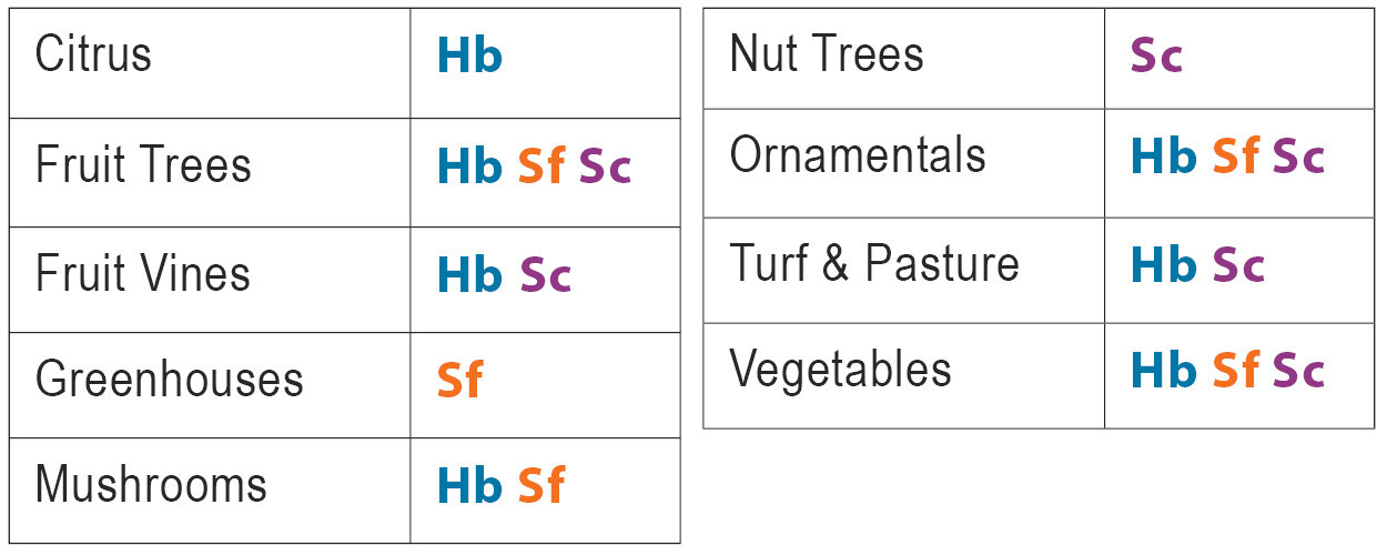30 Million Beneficial Nematodes Triple Blend HB+SC+SF – Targets 200+ Soil Pests