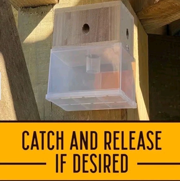 ☆☆ 5 BEES N THINGS Carpenter Bee Trap Outdoor Wood Pest Control Catcher NEW ☆☆
