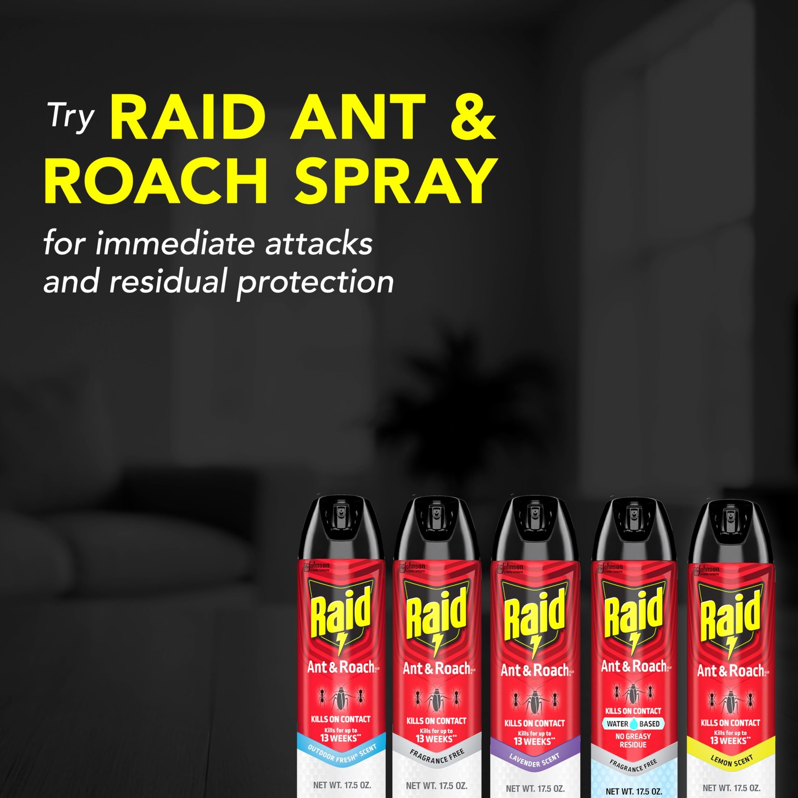 Raid Ant & Roach Killer Spray For Listed Bugs, Keeps 17.5 Fl Oz (Pack of 1)