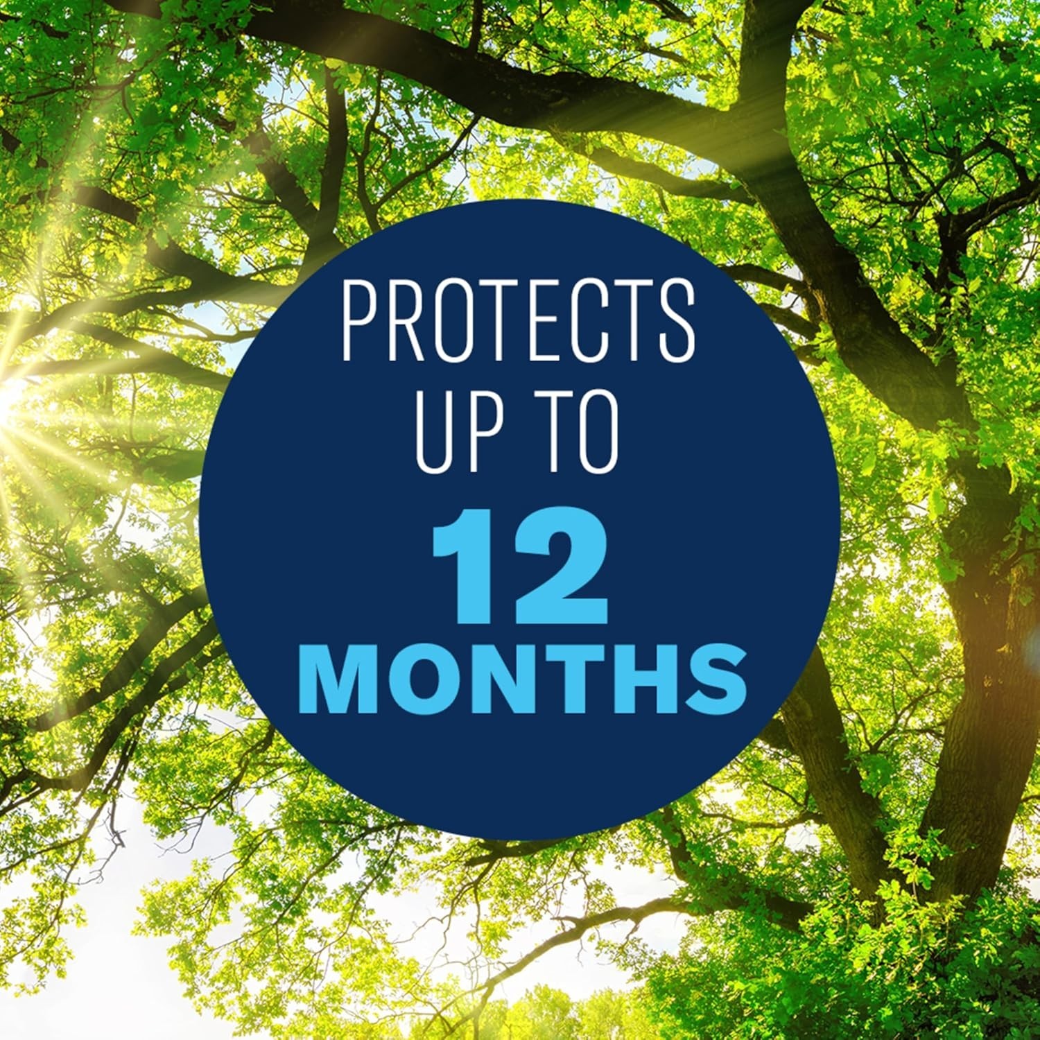 BioAdvanced 12 Month Tree and Shrub Protect and Feed, Granules, 4 lb Fast Ship