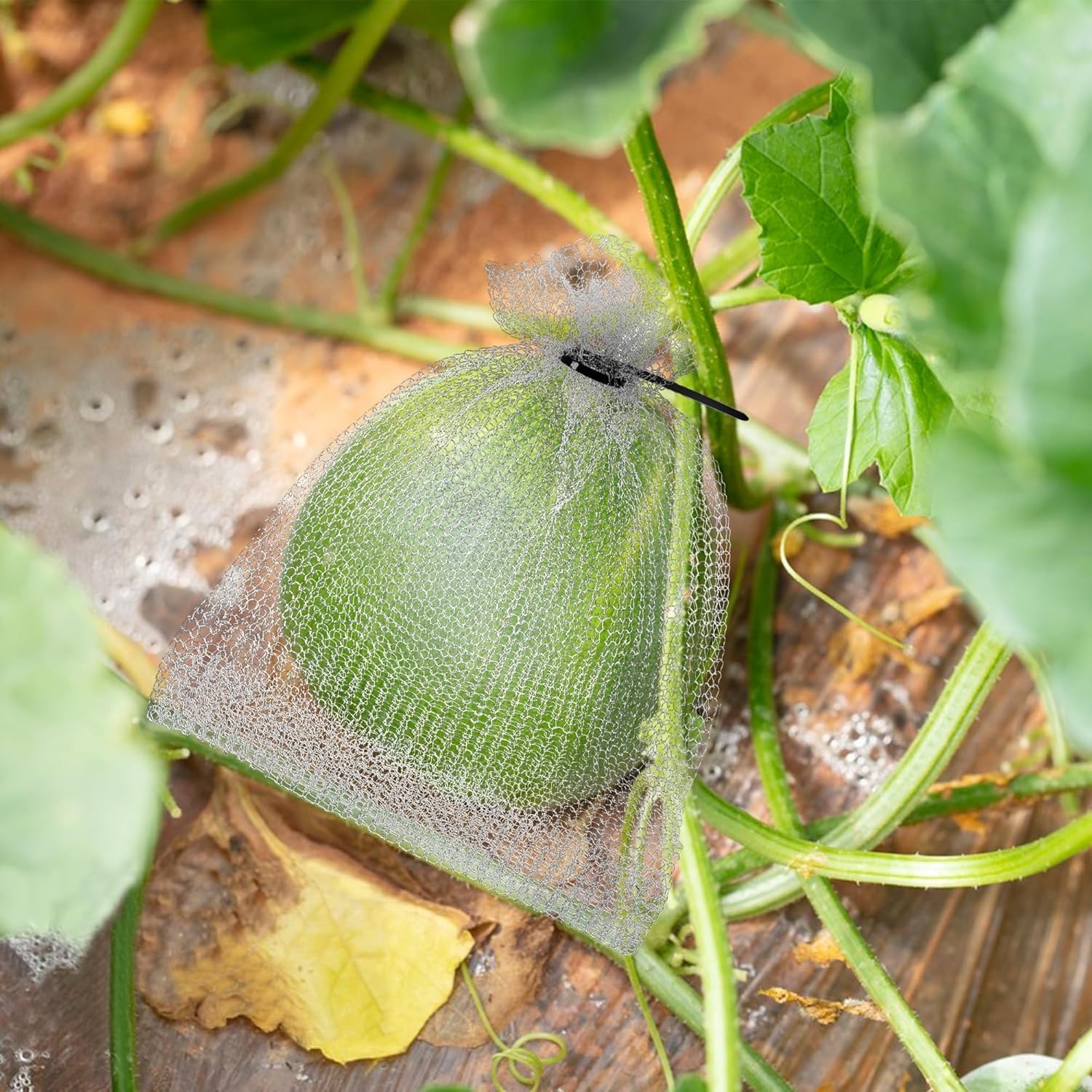 “20Pcs 8×12 6×8 Inch Fruit Protection Wire Mesh Bags, Stainless Steel Wire, Gop