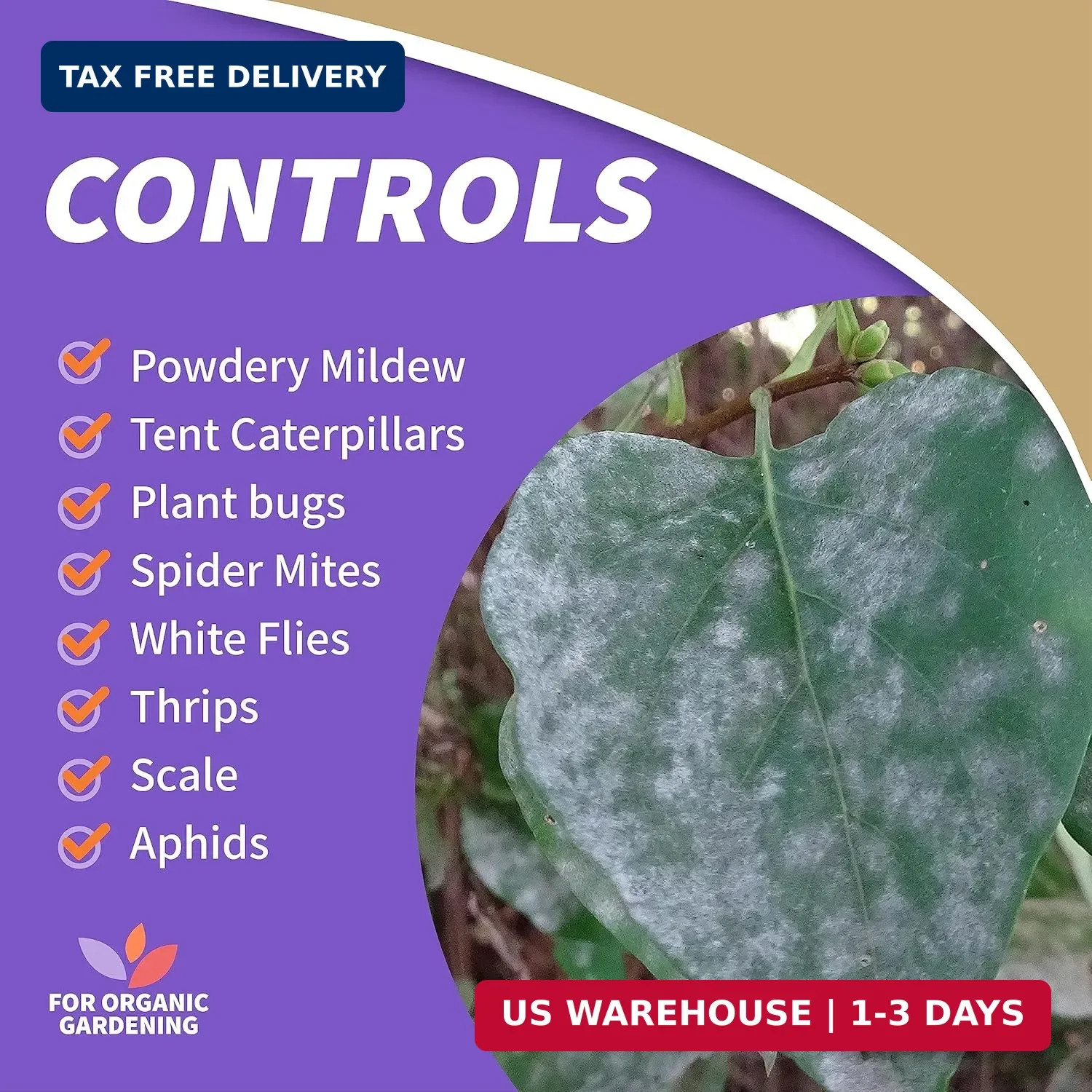 Bonide Insecticidal Soap, 32 oz Ready-to-Use Spray Multi-Purpose Insect Control