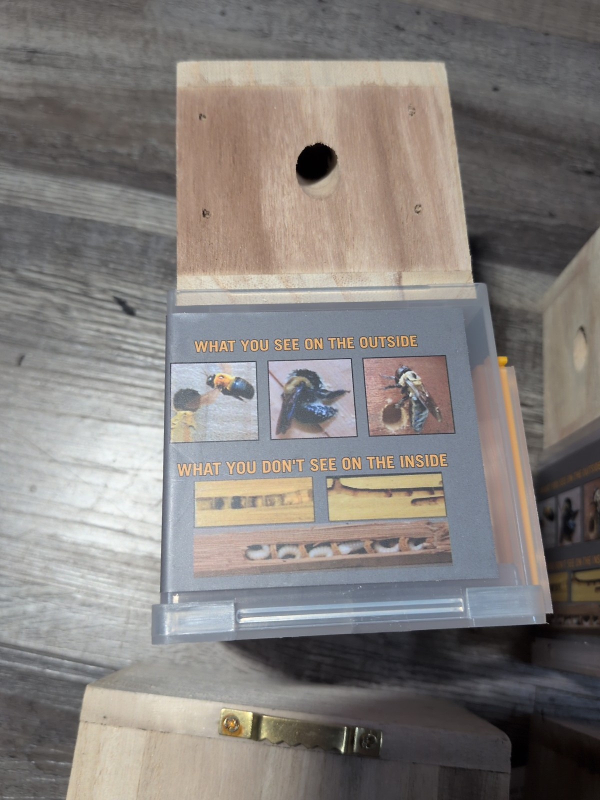 ( LOT OF 6 ) Bees ‘N Things Outdoor Hanging Carpenter Bee Trap