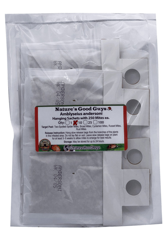 Slow Release Sachets – Amblyseius andersoni – Predatory Spider Mite Control