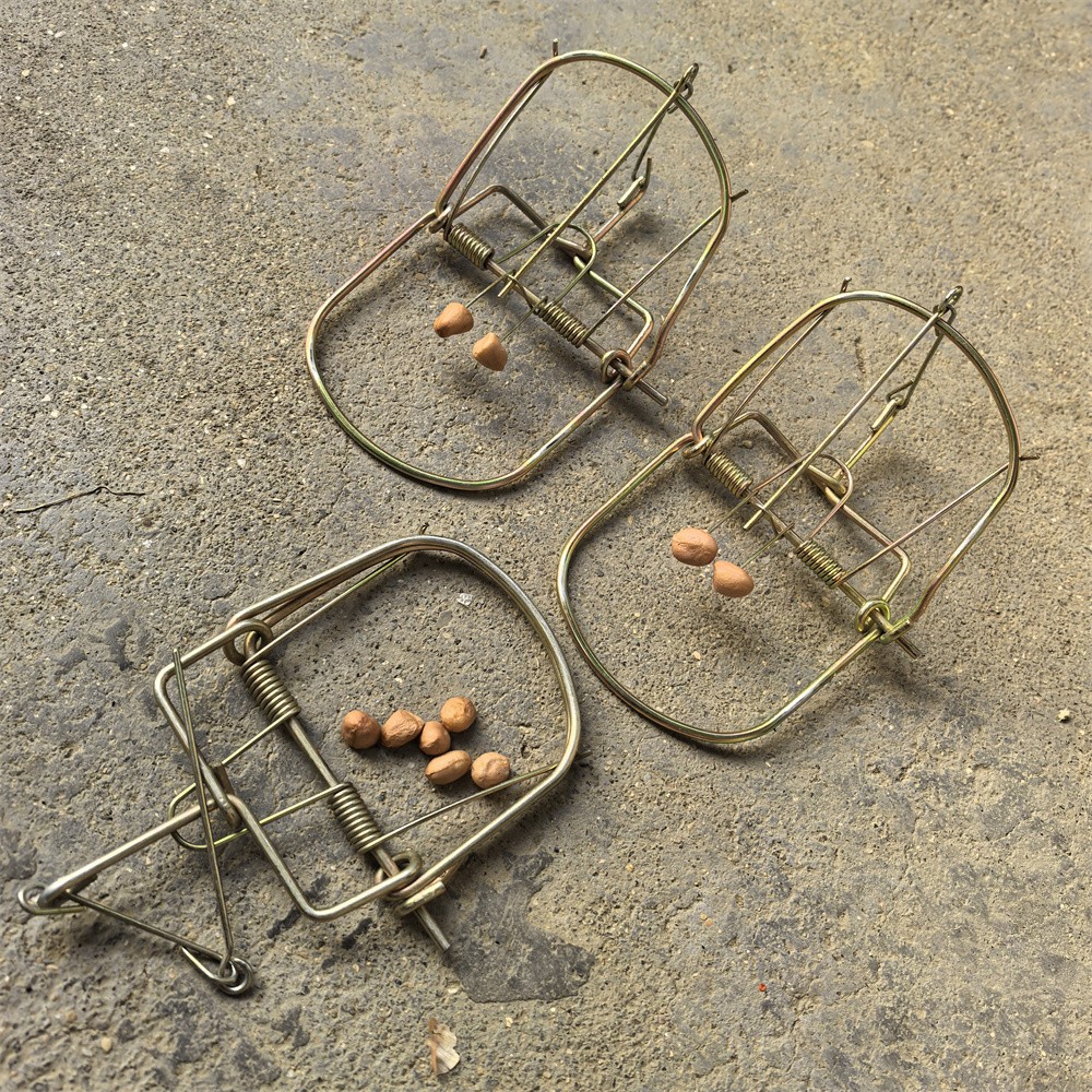 3 Pieces Mouse Traps Rat Mice Killer Snap Trap Power Rodent Heavy Duty Pest Trap