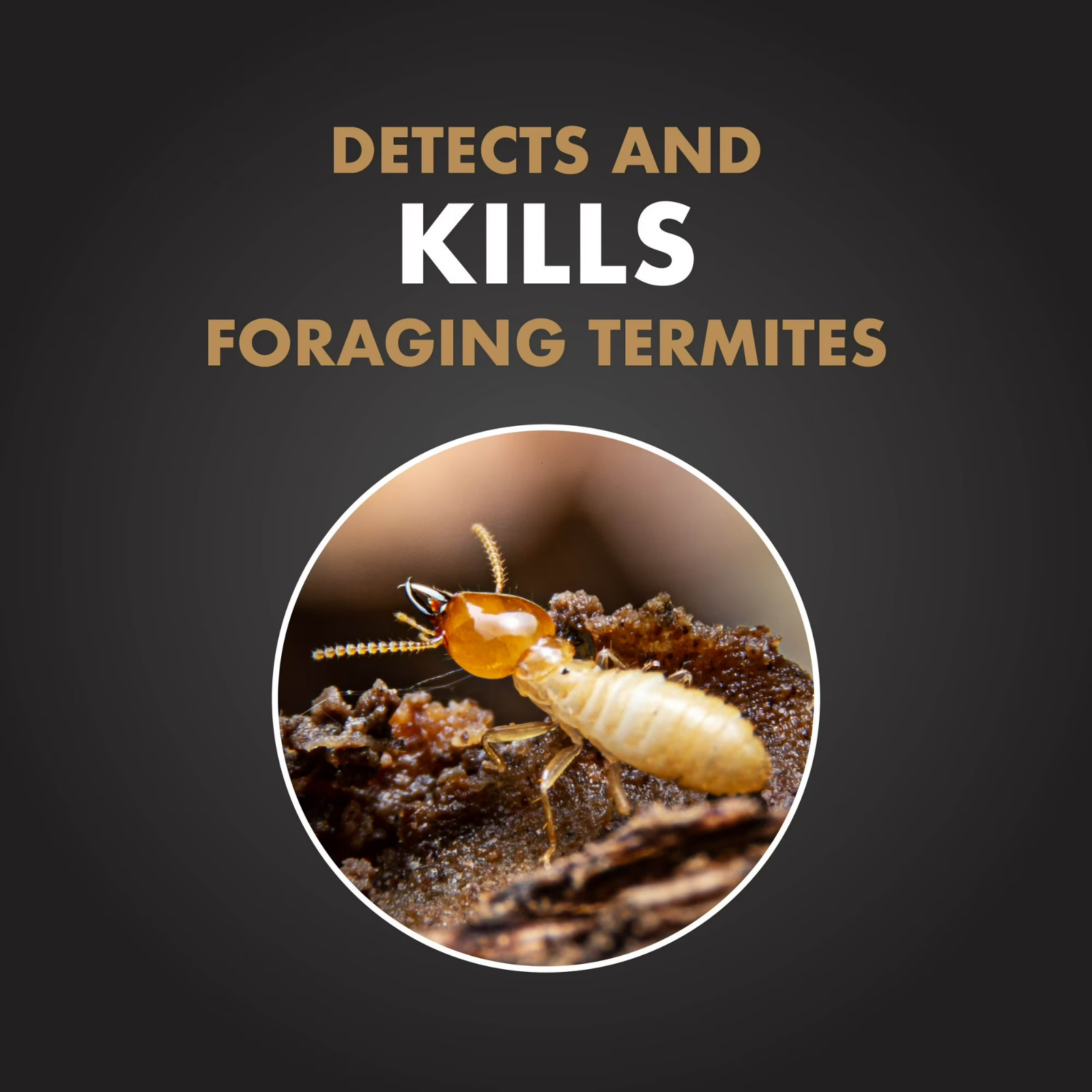 Terminate Termite Killing Stakes (5-Count) Trap Bait Insect Killer Bug Home Pest