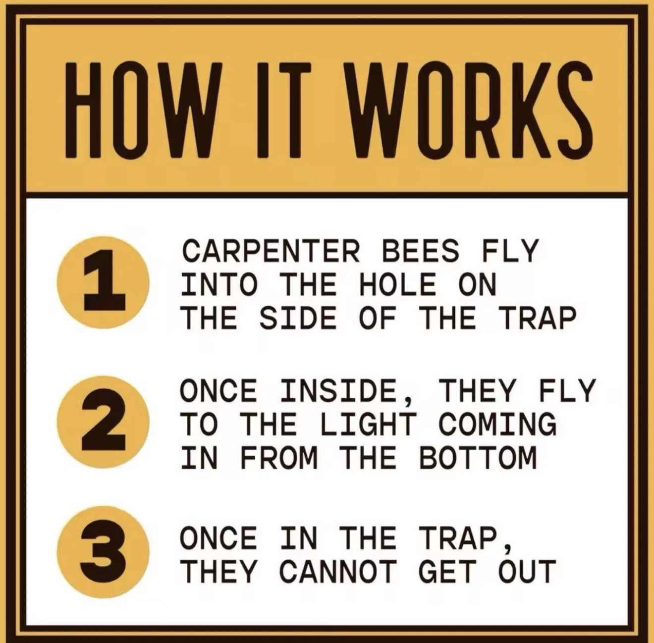 BEES N THINGS Carpenter Bee Trap 5 Pack Outdoor Wood Pest Control Catcher NEW
