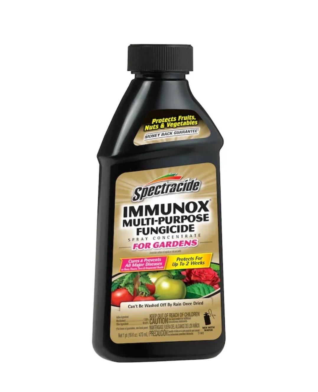 Spectracide Immunox Multi-Purpose Fungicide Spray Concentrate For Gardens 16 Oz