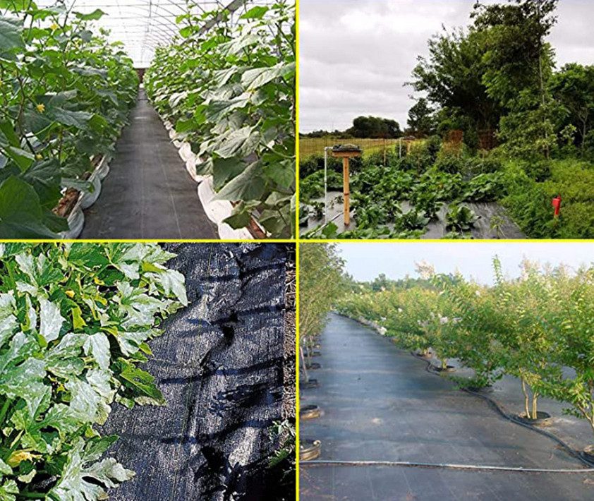 Durable Weed Barrier Landscape Fabric 3.2oz PP Woven Ground Cover Chemical-Free