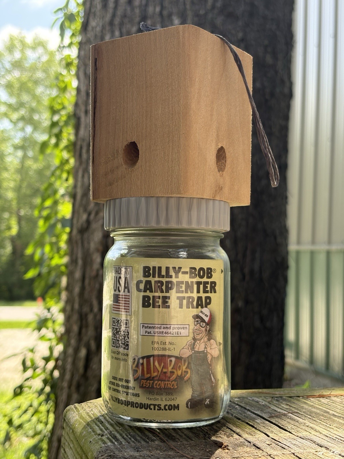 Outdoors Carpenter Bee trap