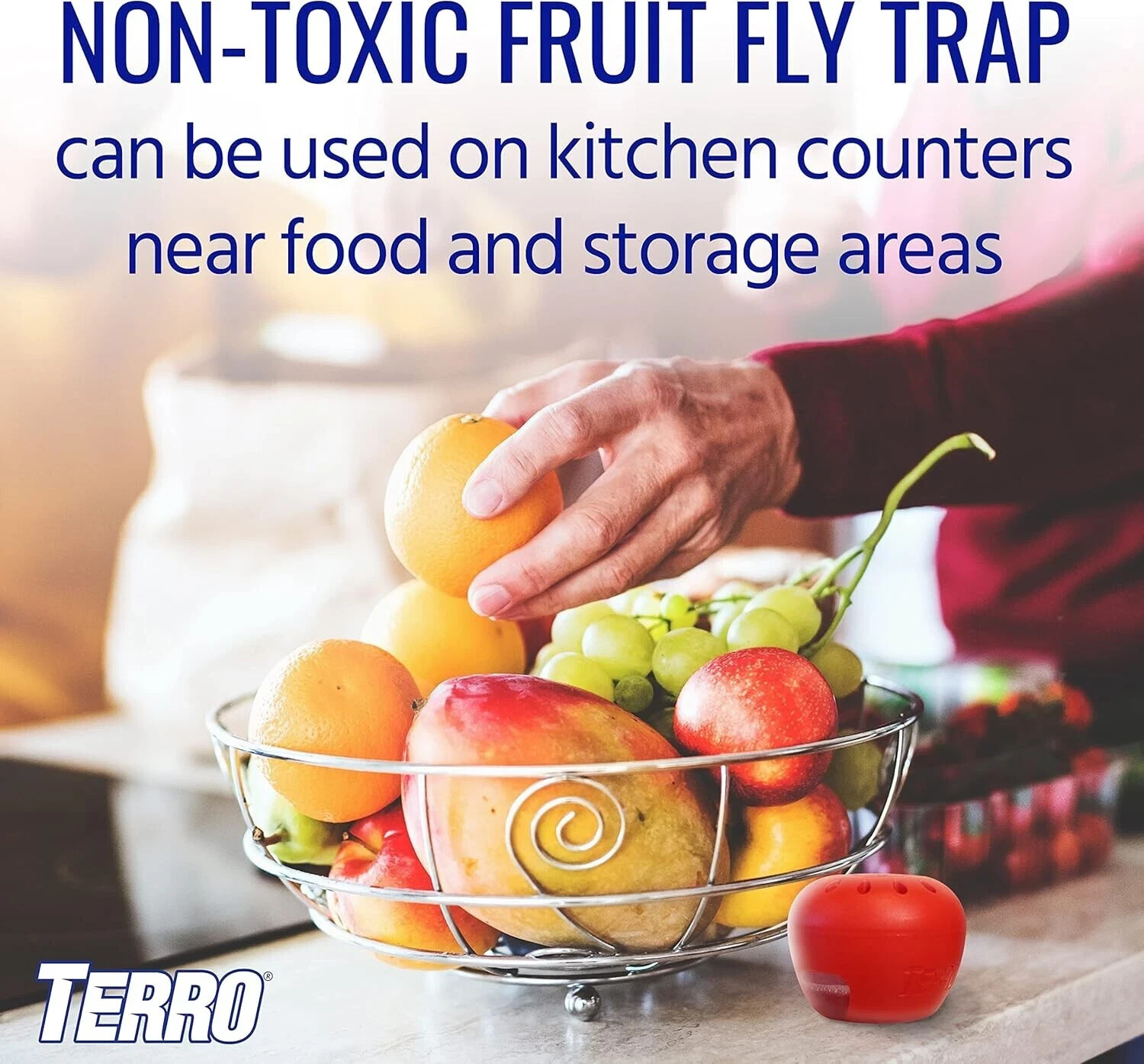 12pk Terro Fruit Fly Traps Indoor (two 6 Pack boxes) + 520 Days of Lure Supply