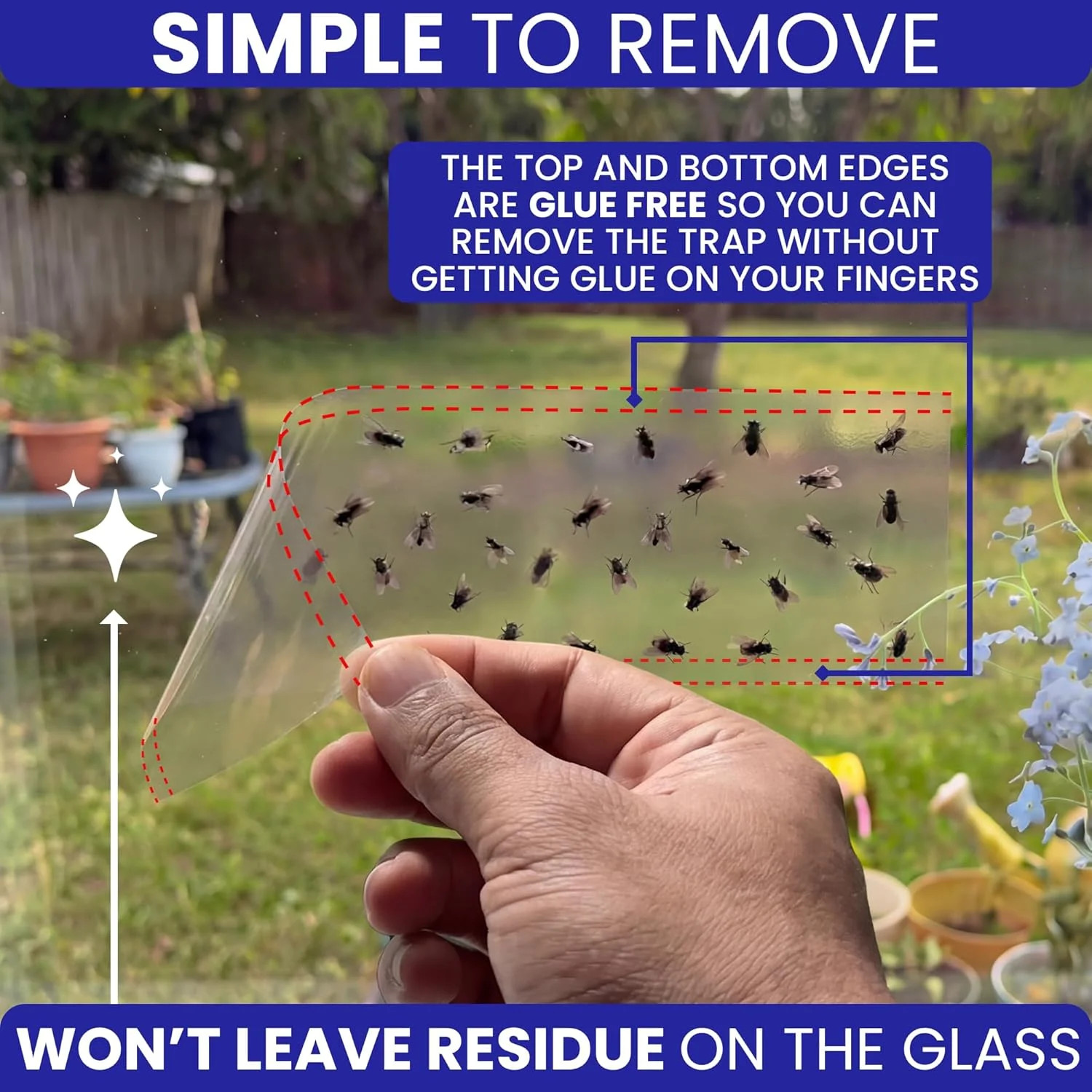 50 Pack Window Fly Traps Sticky Clear Non-Toxic Indoor Fruit Gnat Housefly Trap