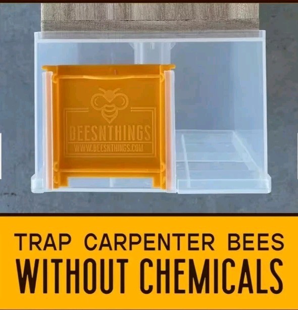 ☆☆ 5 BEES N THINGS Carpenter Bee Trap Outdoor Wood Pest Control Catcher NEW ☆☆