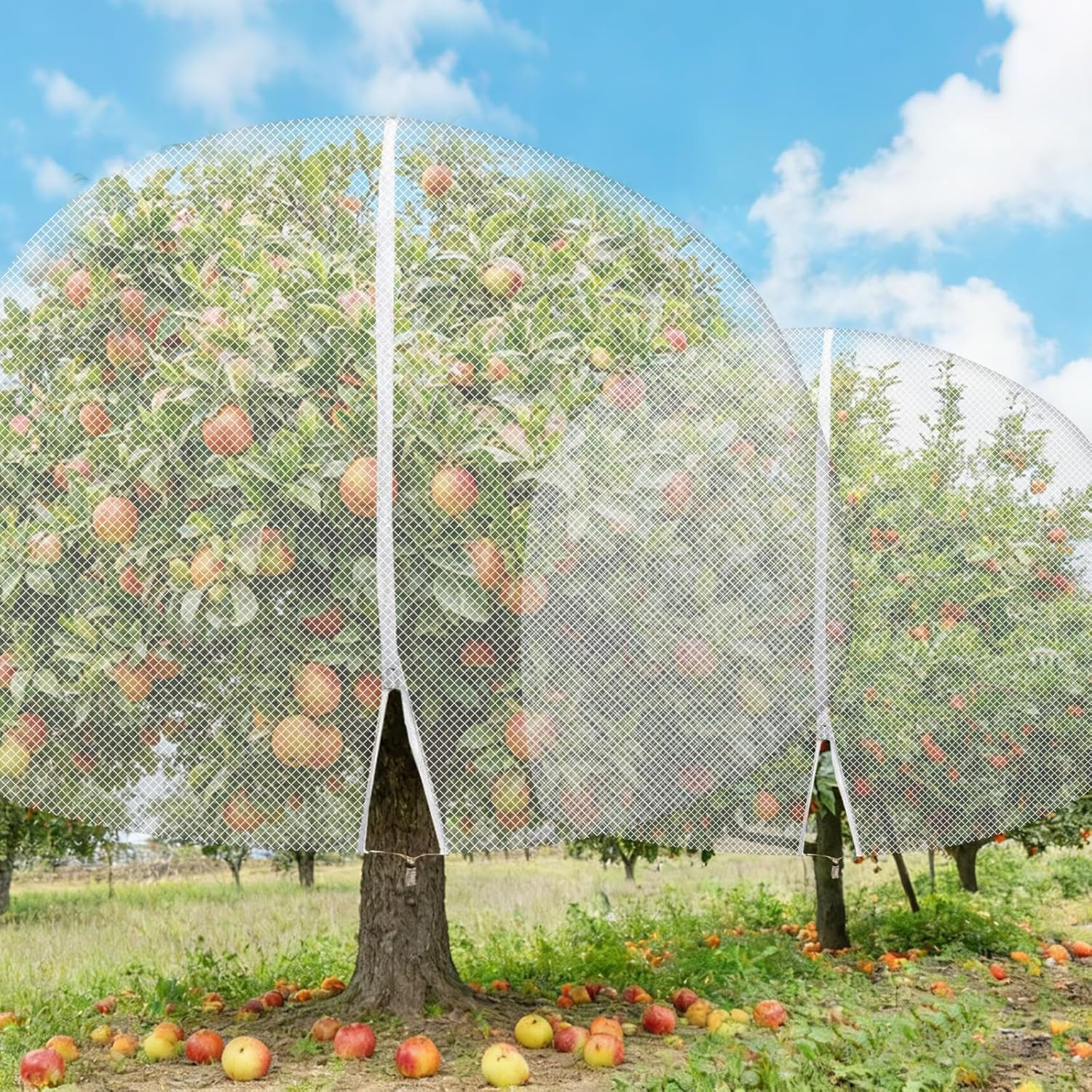 1Pcs 15Ft X 15Ft Extra Large Fruit Tree Netting Cover with Zipper and Drawstring