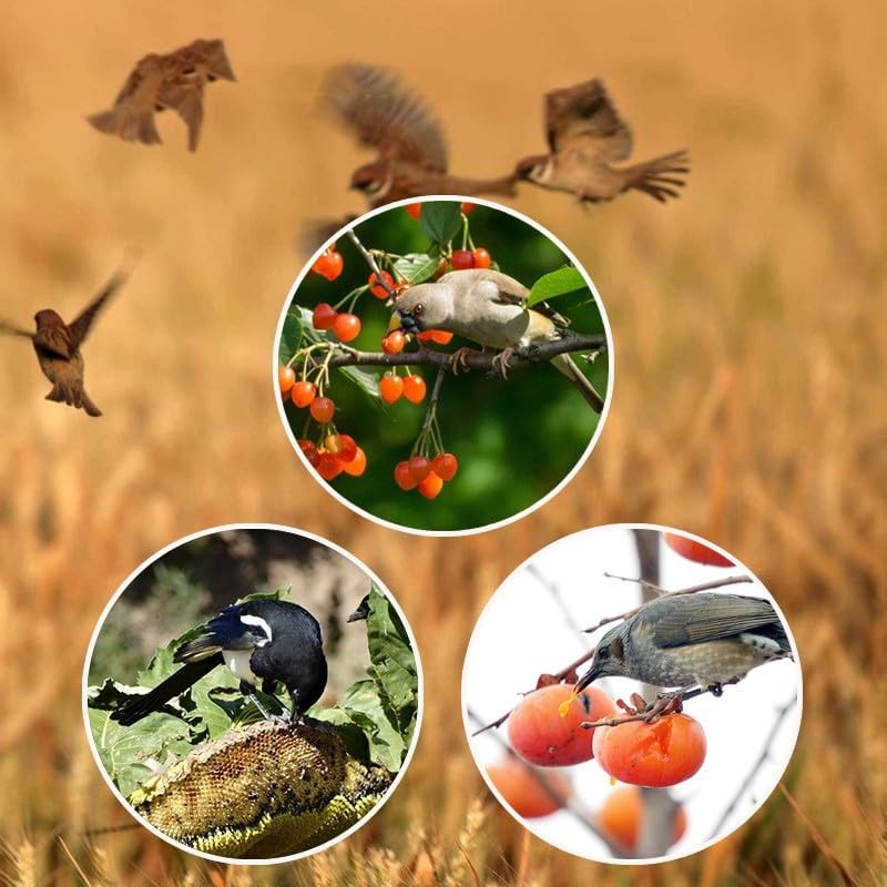 Solar Bird Repeller Alarm with 13 Built-in Sounds and 129db Speaker for 2 Pack