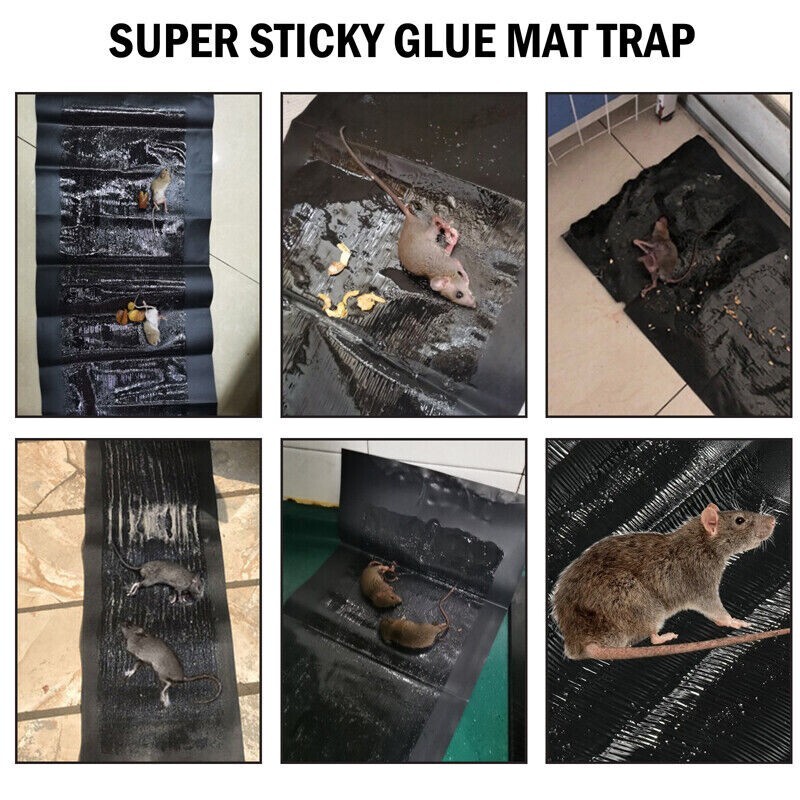 20pcs Large Mice Mouse Glue Traps Rodent Catcher Rat Board Indoor Super Sticky