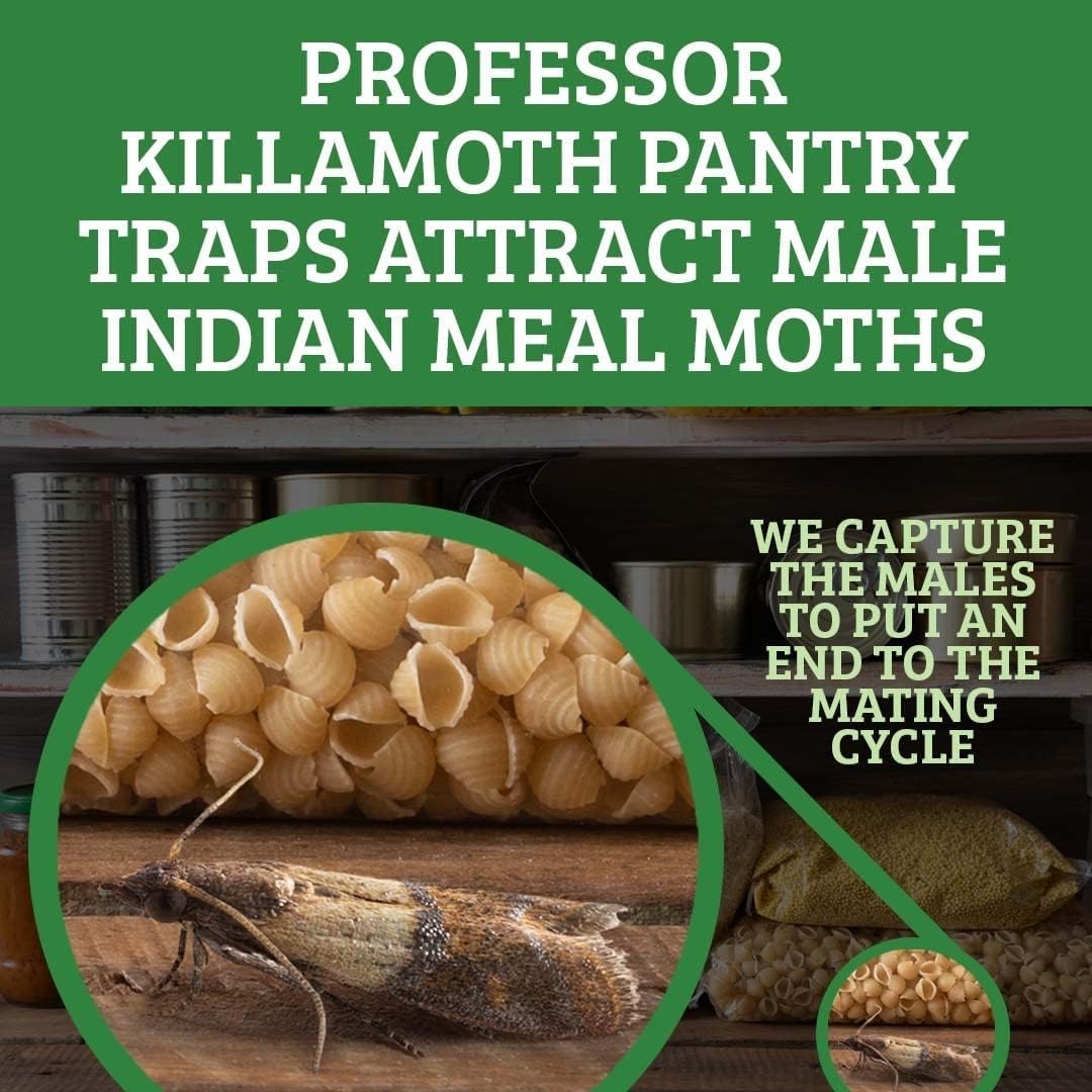 Child & Pet Safe Pantry Moth Traps 6-Pack | Non-Toxic Food Protection