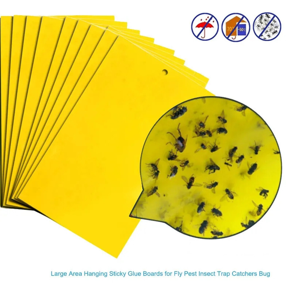 Sticky Fly Trap Paper Yellow Traps Fruit Flies Insect Glue Catcher Pest Control
