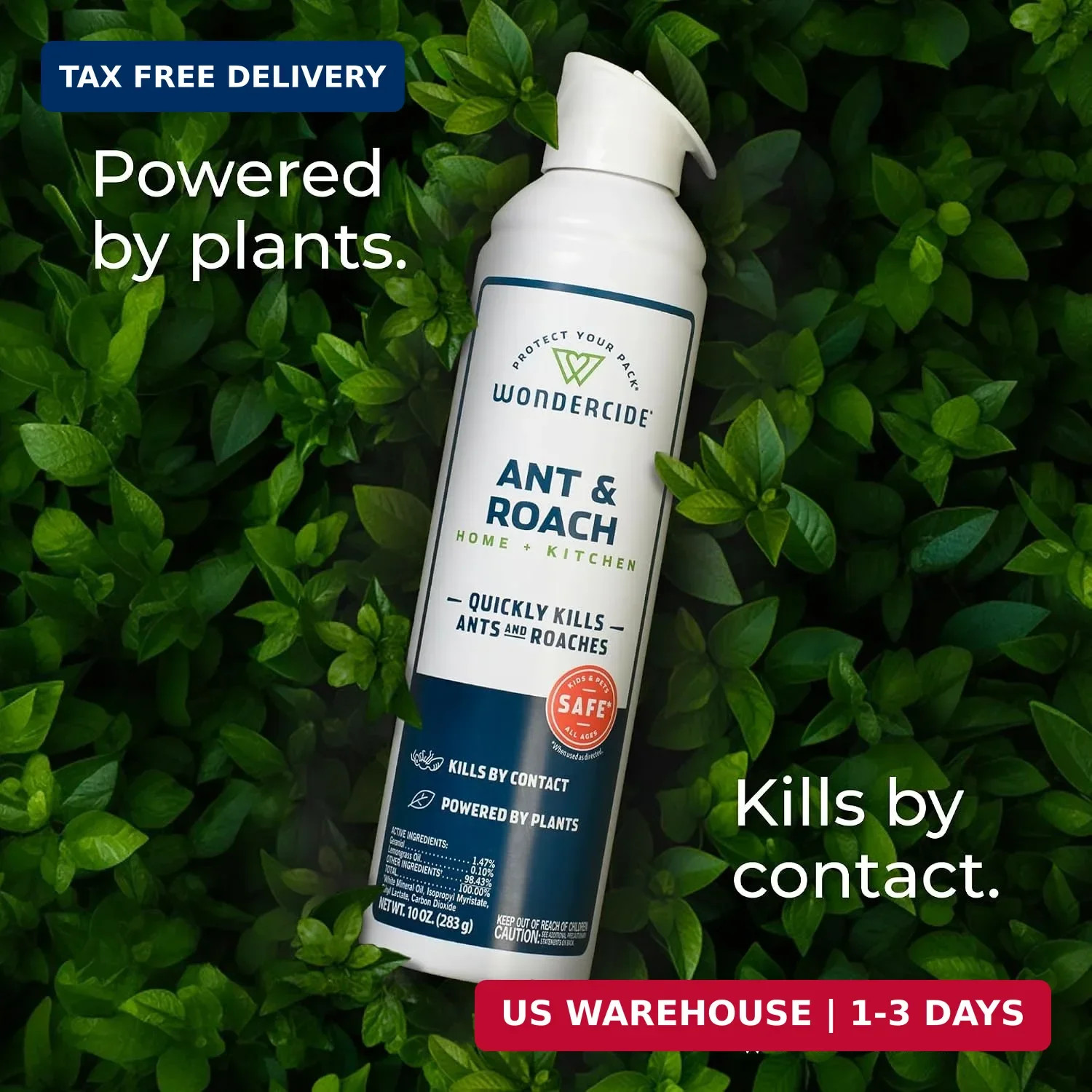 Wondercide – Ant & Roach Aerosol Spray for Kitchen, Home, and Indoor Areas – Ant