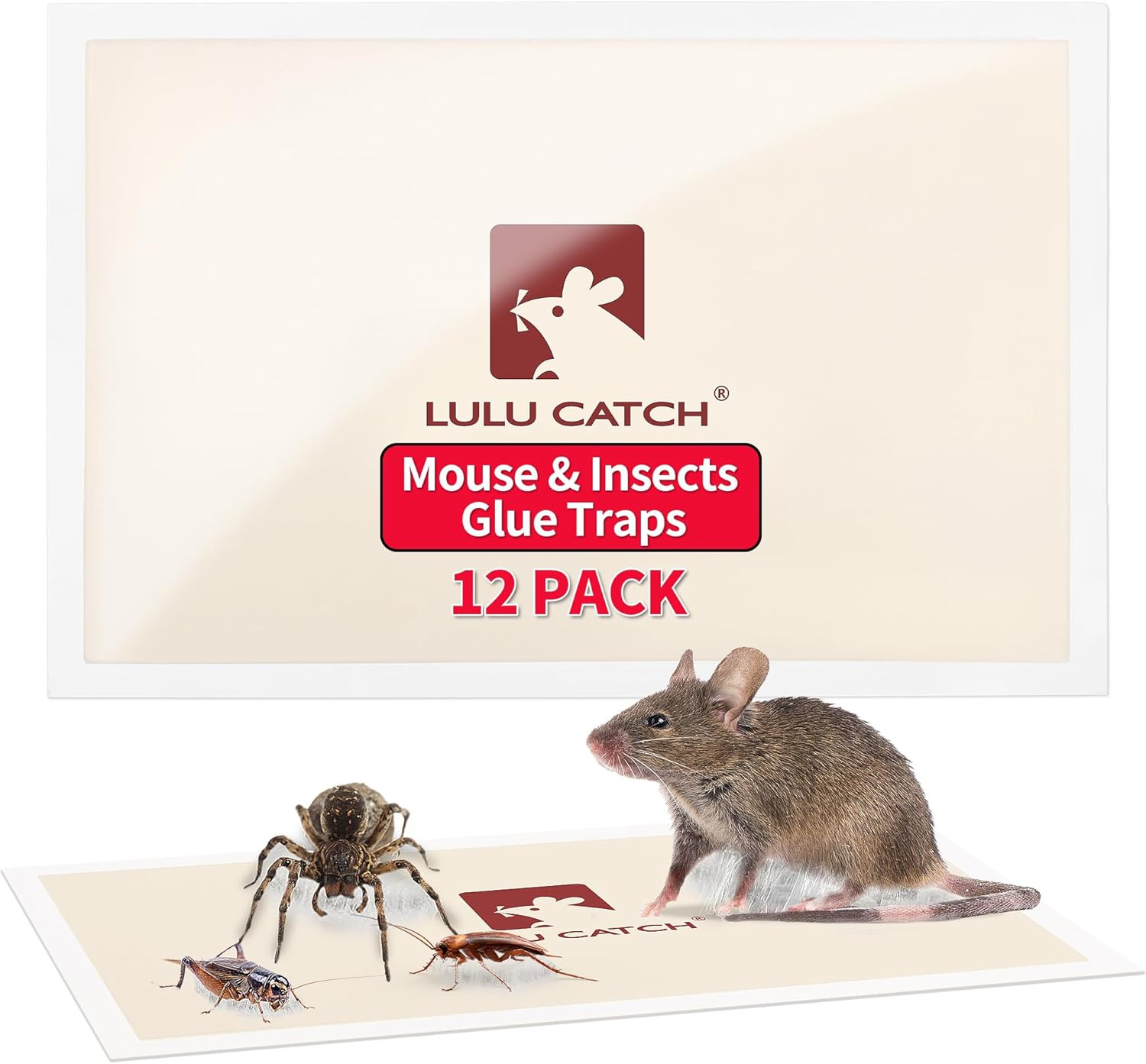 Mouse Traps, 12 Pack Pre-Baited Sticky Mouse Traps Indoor for Home, Non-Toxic Bu