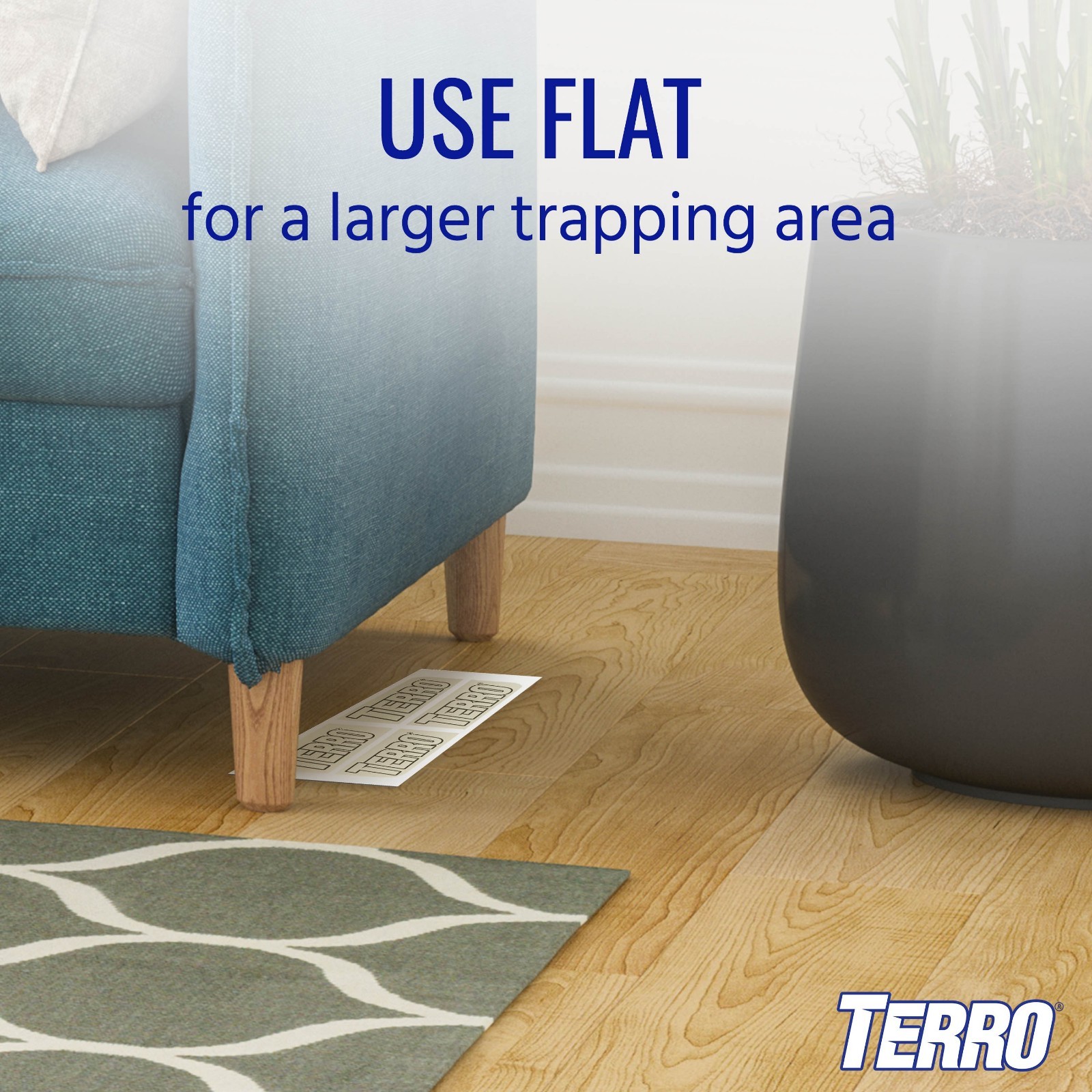TERRO Indoor Spider Insect Glue Trap 4 Pack Bug Catcher Traps