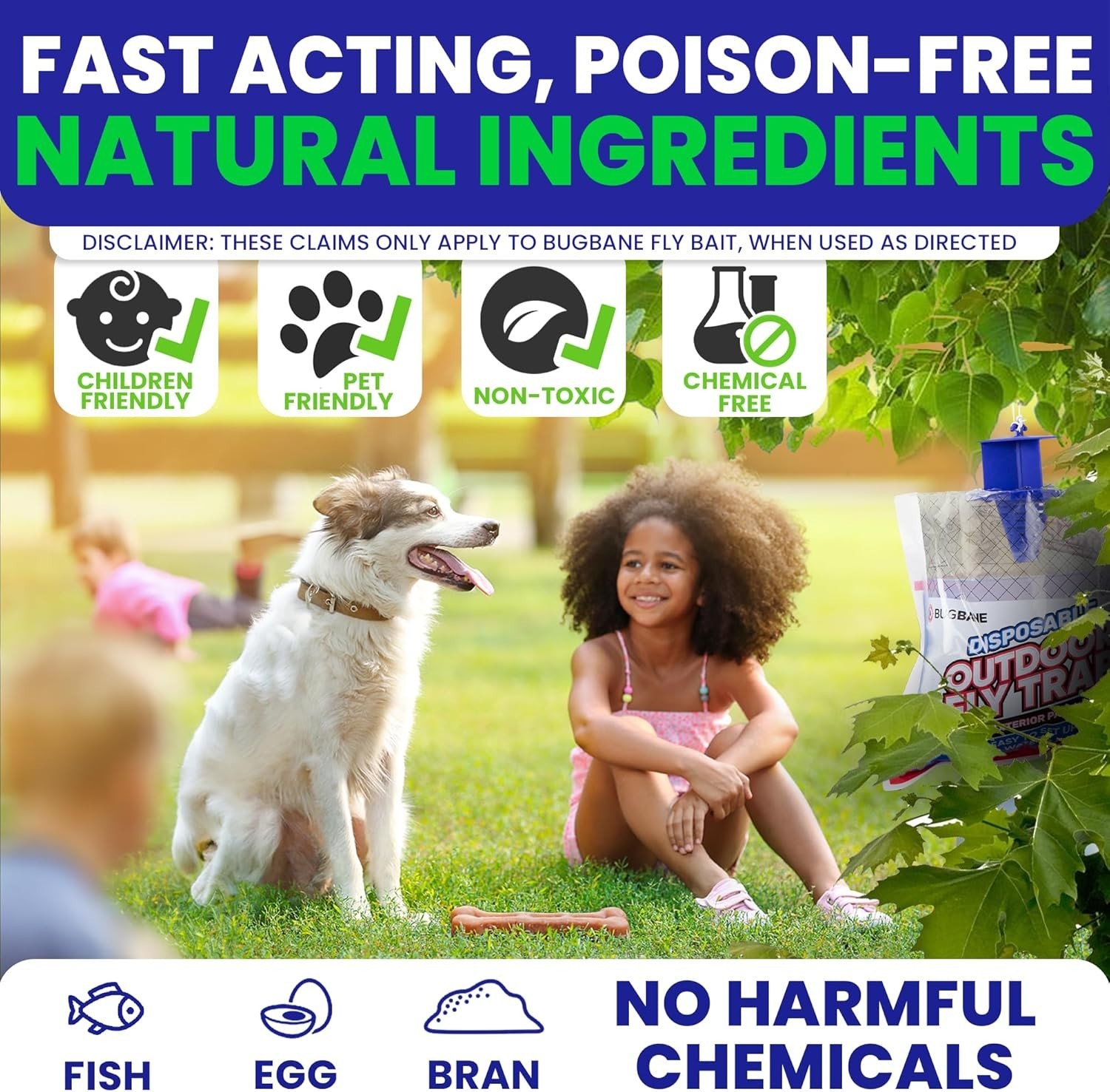4-Pack Non-Toxic Pre-Baited Fly Bags – Ideal for Outdoor Spacing & Activities