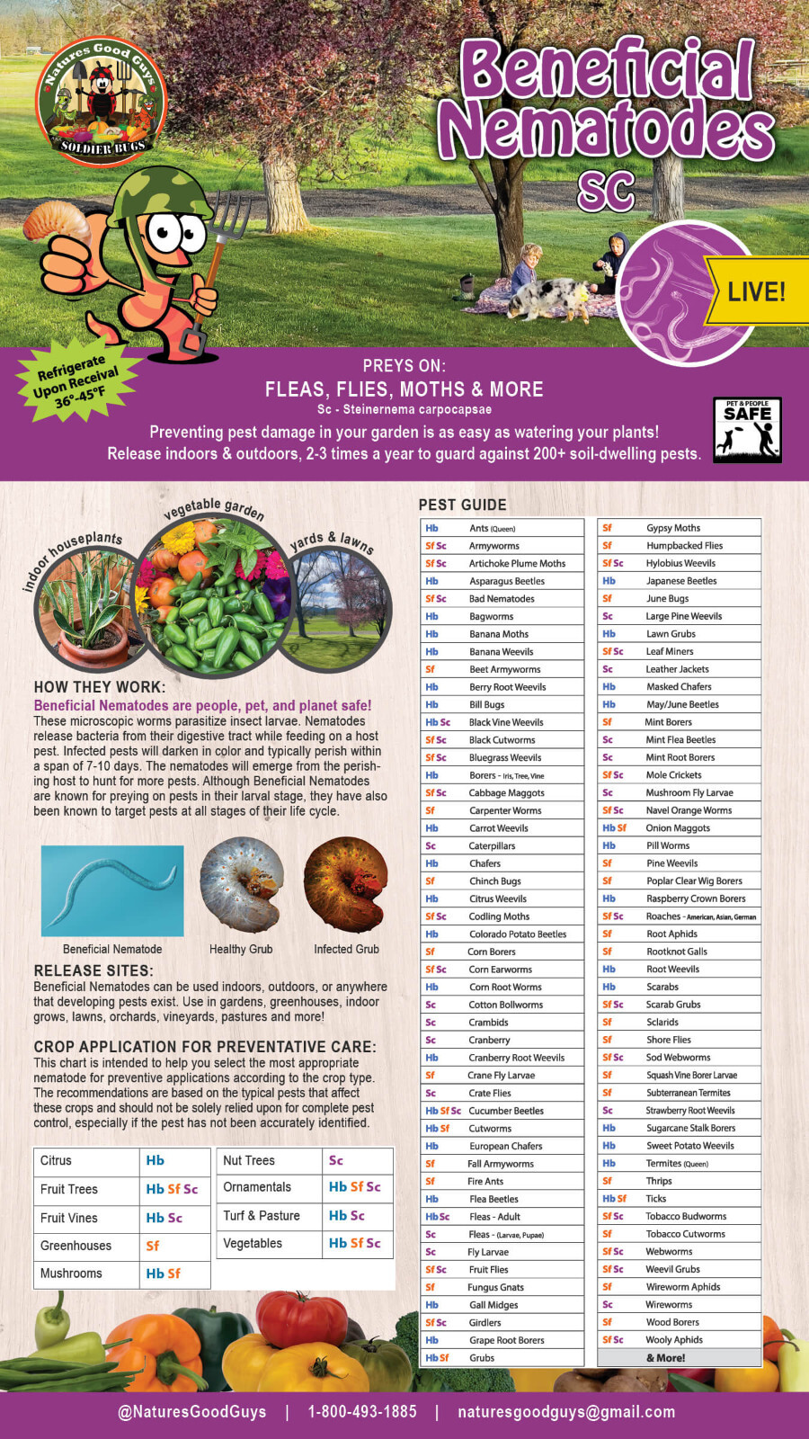 5 Million Beneficial Nematodes SC – Targets Fleas, Flies, Moths & More