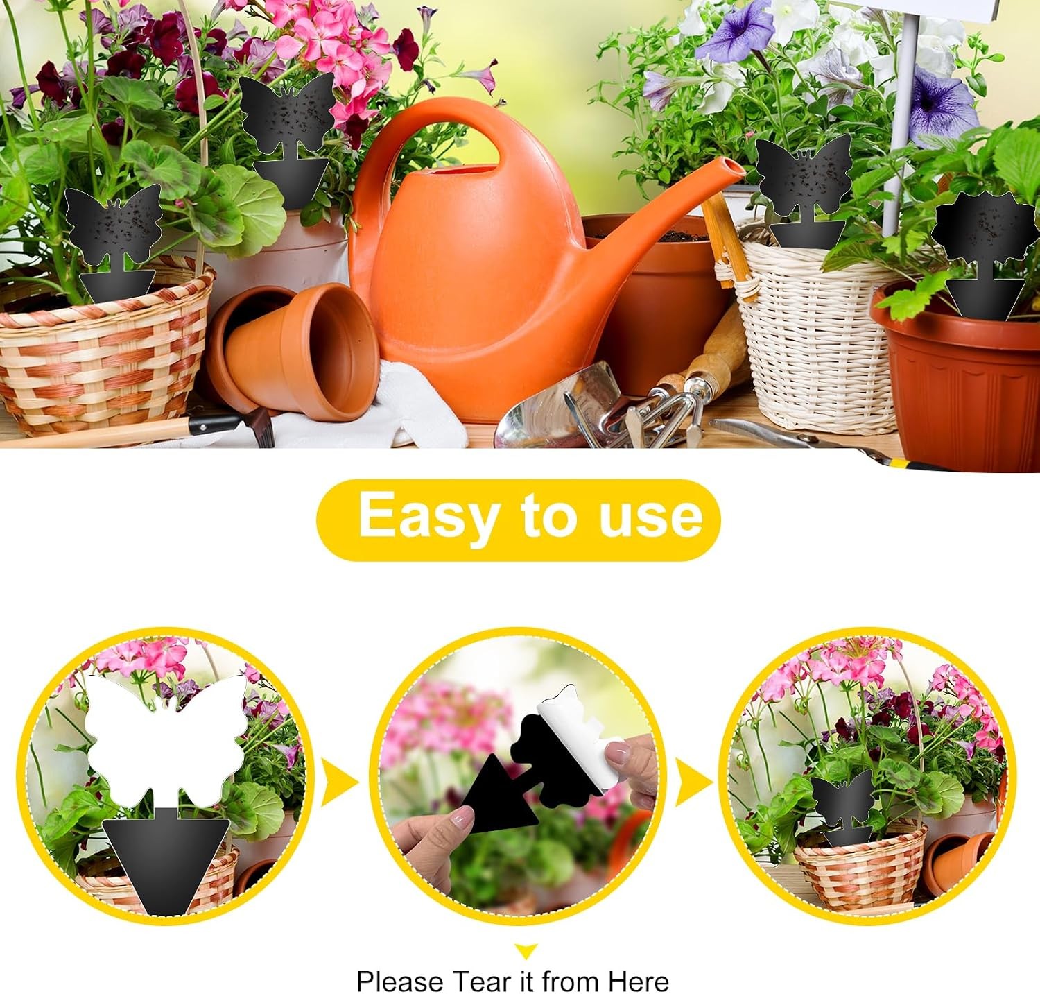 Fruit Fly Traps, 60 Pack Black Sticky Traps, Fungus Gnat Traps, Plant Fly