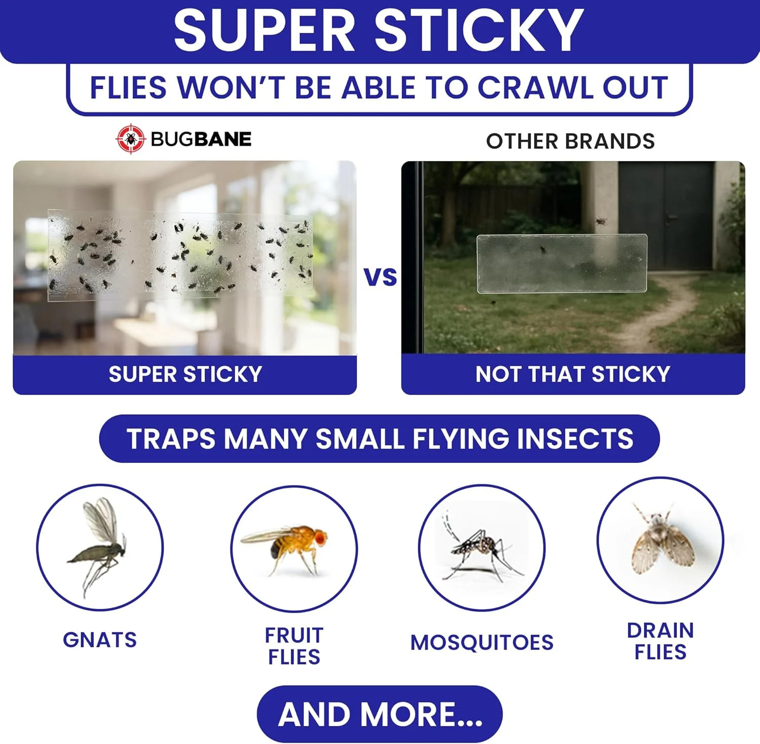 50 Pack Window Fly Traps Sticky Clear Non-Toxic Indoor Fruit Gnat Housefly Trap