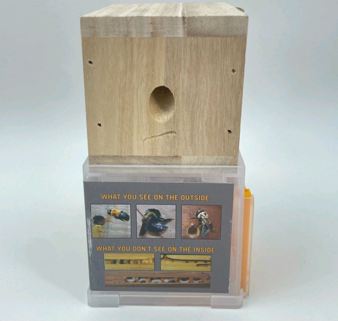 BEES N THINGS Carpenter Bee Trap 5 Pack Outdoor Wood Pest Control Catcher NEW