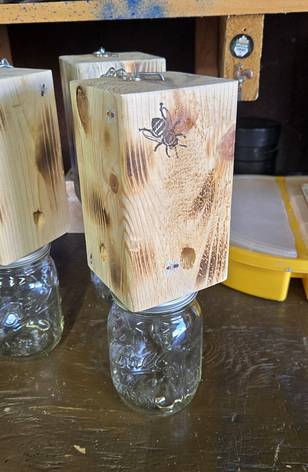 CARPENTER ‘BORE’ BEE TRAPS THAT WORK!