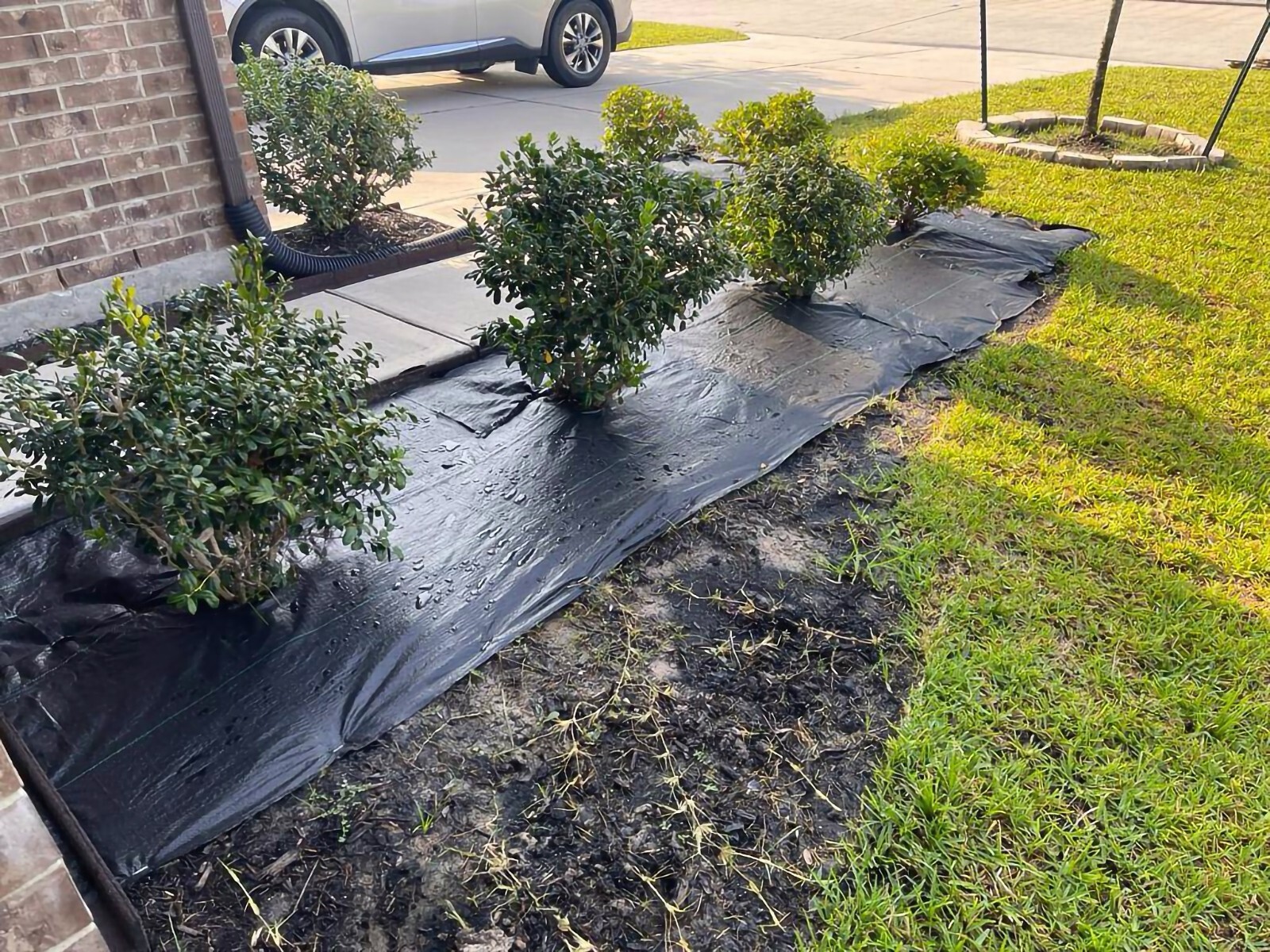 Heavy Duty Landscape Fabric 100 GSM, Weed Barrier Garden Mat, Different Sizes