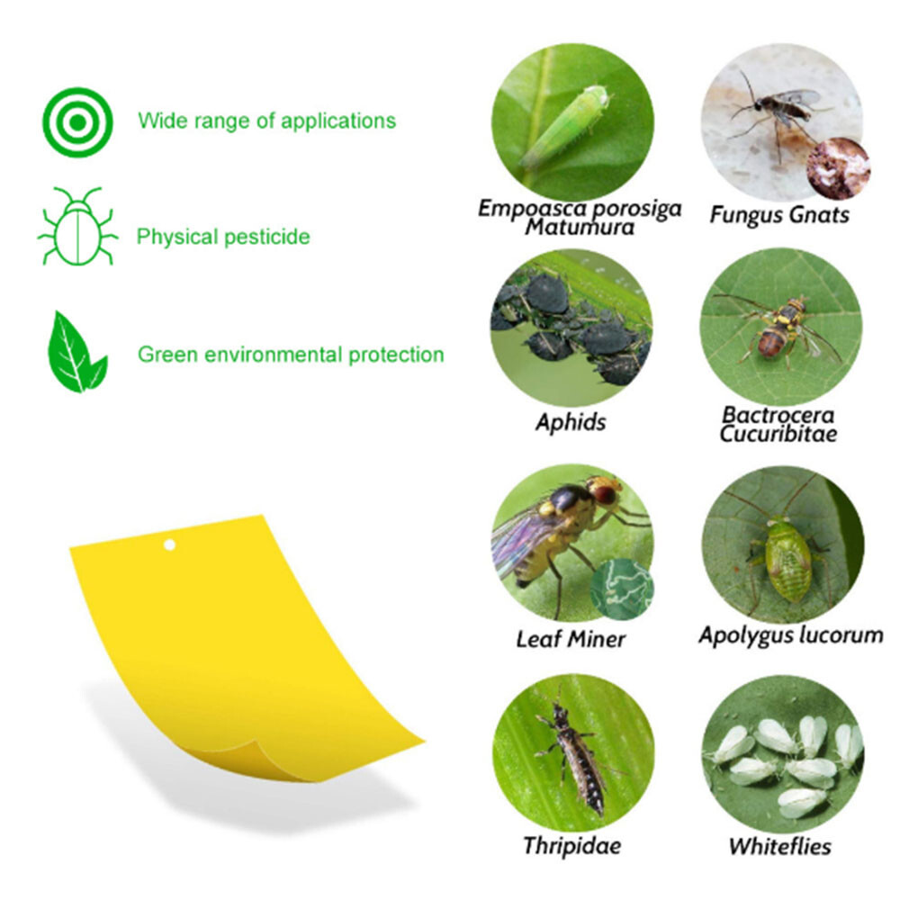 Fly Trap 20 Pcs, Yellow Fly Paper Stickers Catcher Fruit Fly Traps Indoor Non-To