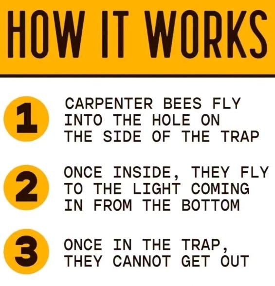 ☆☆ 5 BEES N THINGS Carpenter Bee Trap Outdoor Wood Pest Control Catcher NEW ☆☆