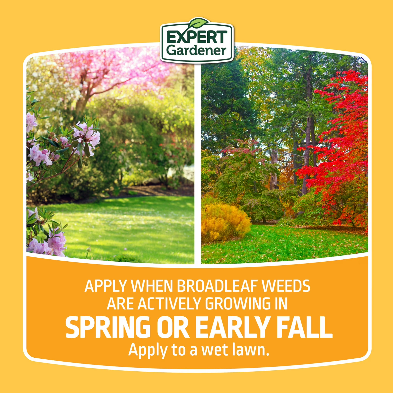 Weed & Feed 28-0-3 Lawn Fertilizer Crabgrass Control Kills 250+ Weeds 5,000 Sq F