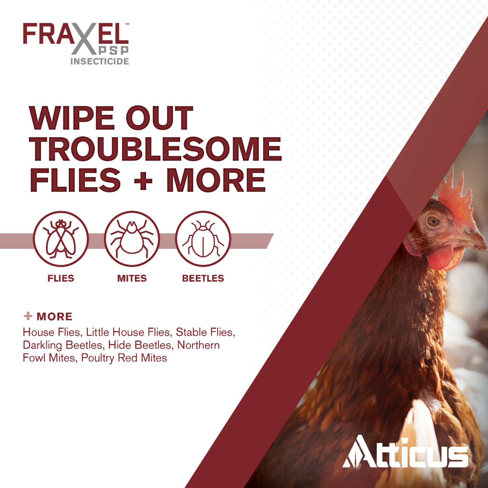 Fraxel PSP Insecticide (8 FL OZ) – Compare to Elector PSP – Premise Control