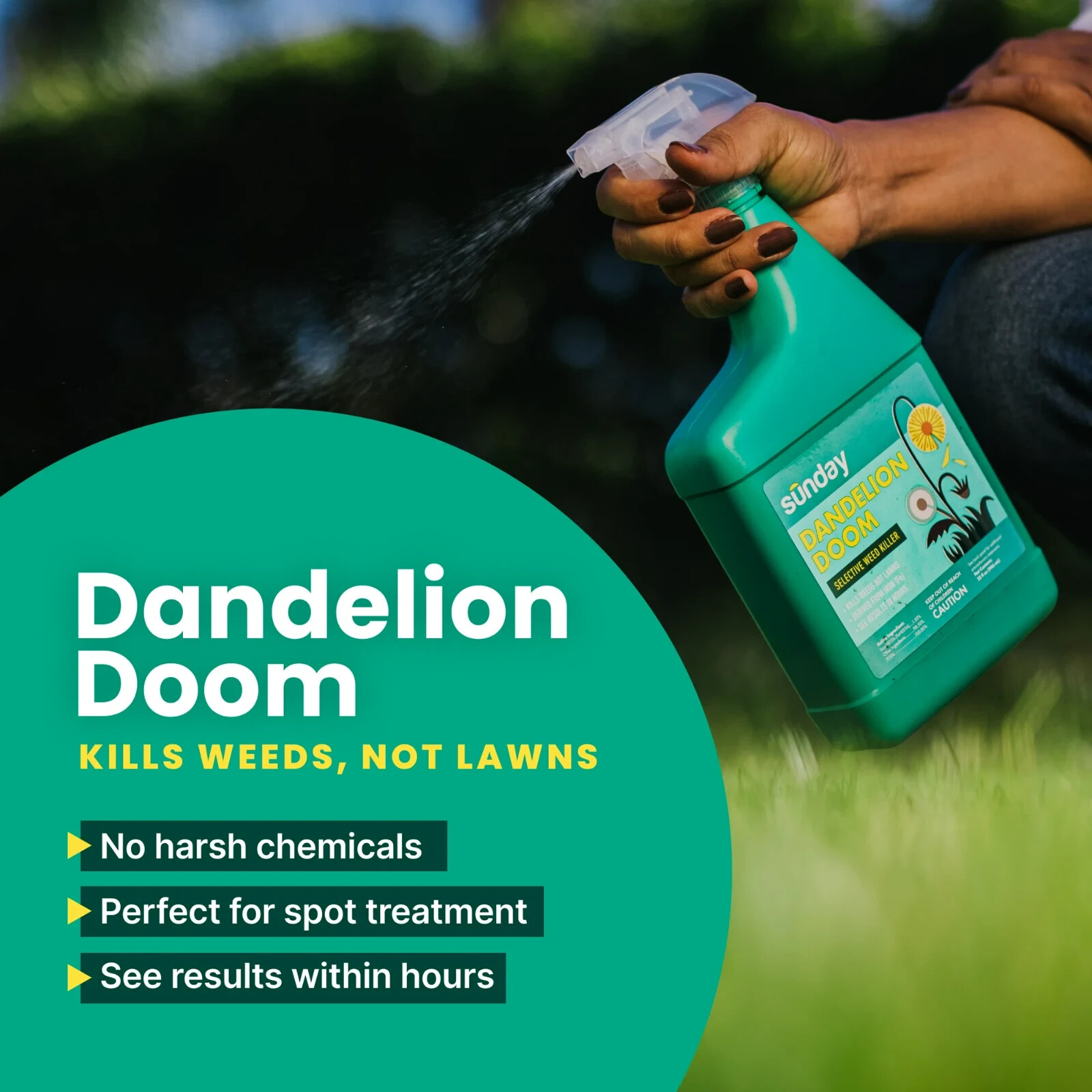SUNDAY Dandelion Doom Herbicide Spot Treatment – Kills Weed Not Lawns! – NEW!