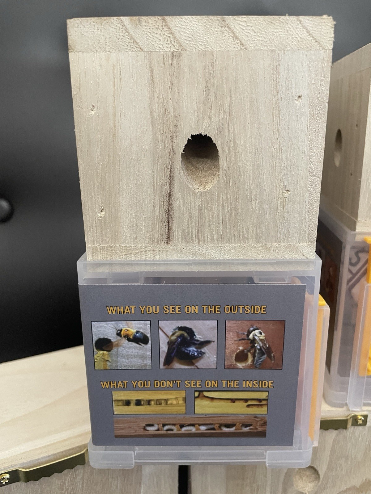 LOT OF 5 Bees ‘N Things Outdoor Hanging Carpenter Bee Trap Free Shipping!