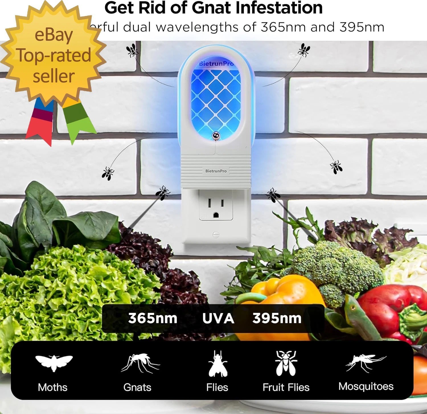 Fruit Fly Traps/Gnat Traps for Indoors Uv Blue Light Plug-In Gnats Killer
