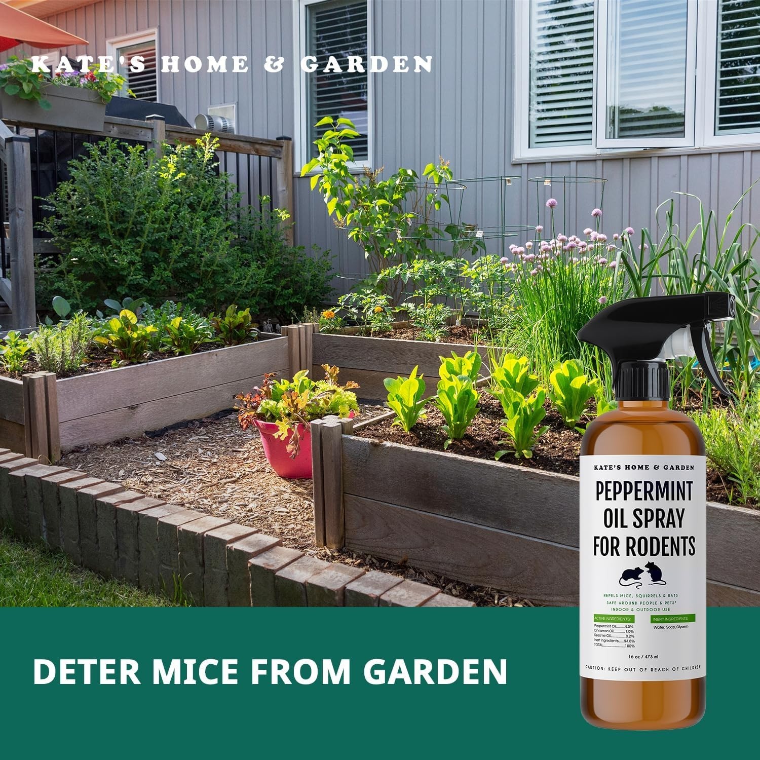Peppermint Oil Spray, for Rodents Mice Raccoon Bat and, Squirrels Rodent Repelle