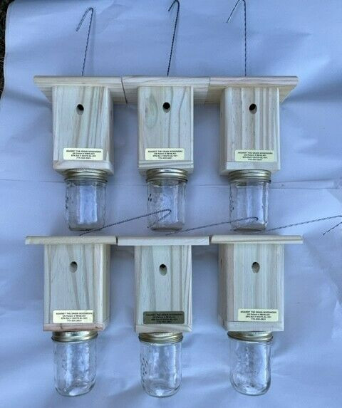 Best Carpenter Bee Trap Set of 6 Pressure Treated Hand Made Free Shipping