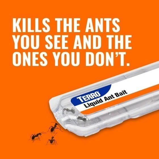 TERRO Liquid Ant Bait Ant Killer 6 Bait Stations 2 Packs