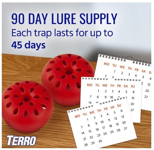 TERRO Indoor Fruit Fly Trap with Built in Window 2 Traps + 90 day Lure Supply