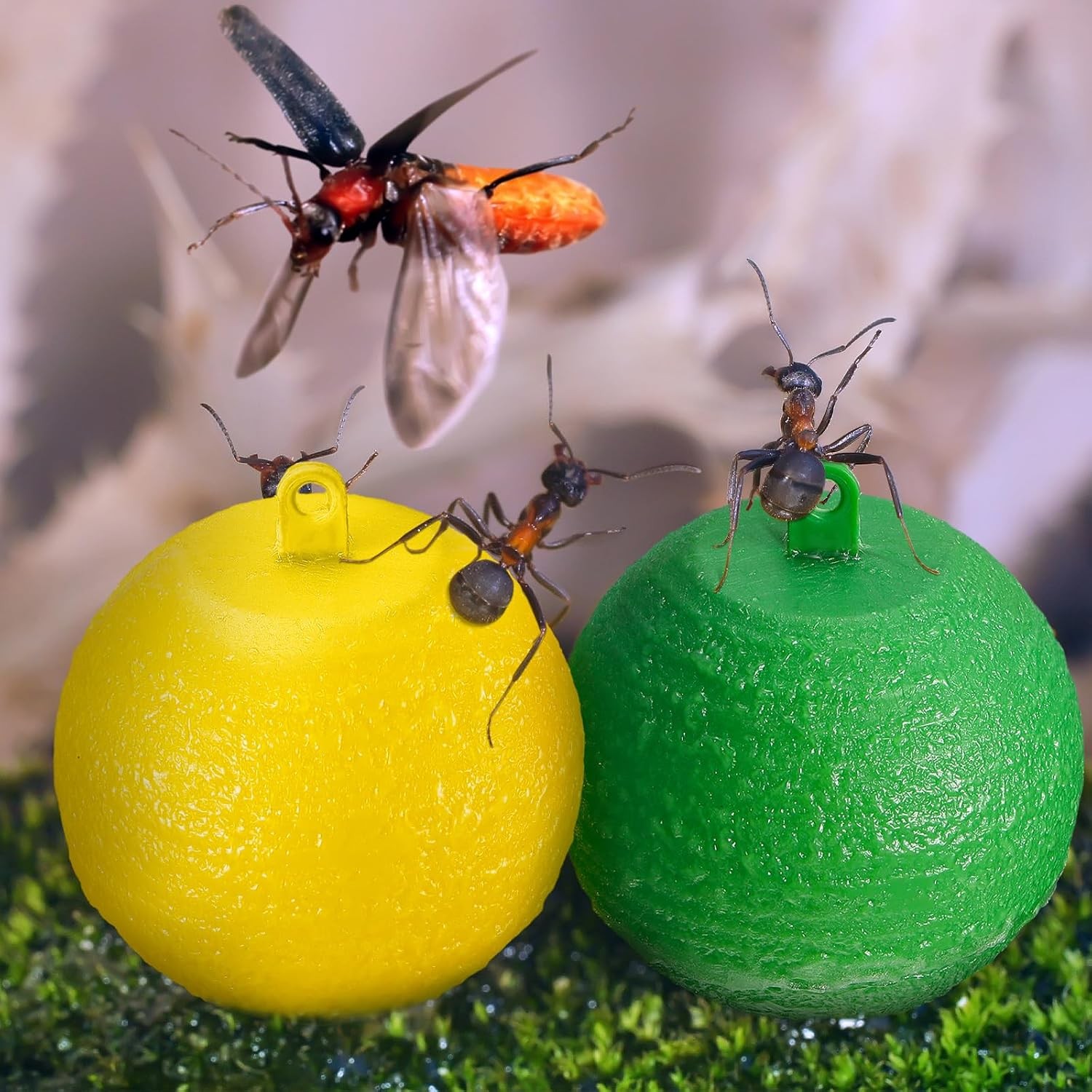 20 Pcs Sticky Fruit Fly Trap Ball Adhesive Fly Catching Ball Sticky Glue Fly
